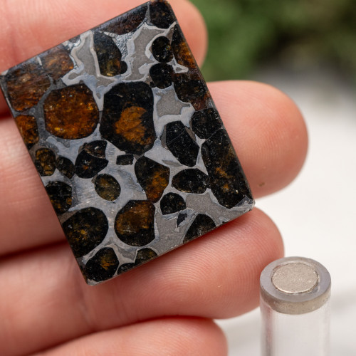 Sericho Meteorite on Magnetic Stand #1