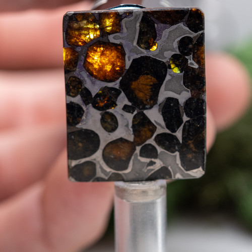 Sericho Meteorite on Magnetic Stand #1