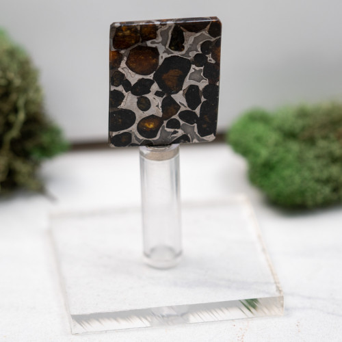 Sericho Meteorite on Magnetic Stand #1