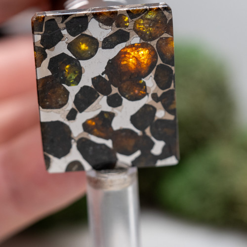 Sericho Meteorite on Magnetic Stand #1