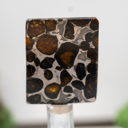 Sericho Meteorite on Magnetic Stand #1