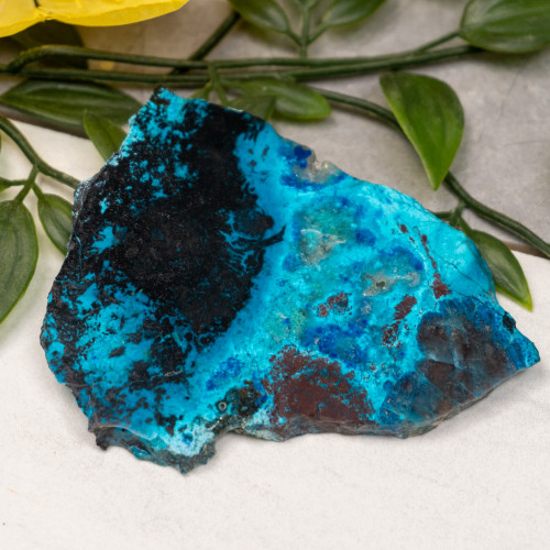 Shattuckite, Chrysocolla, Malachite & Tenorite Slab #20