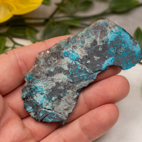 Shattuckite Slab with Tenorite, Azurite, and Chrysocolla Slab #19