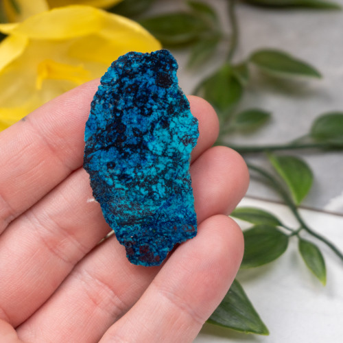 Shattuckite Slab with Tenorite, Azurite, and Chrysocolla Slab #18