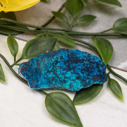 Shattuckite Slab with Tenorite, Azurite, and Chrysocolla Slab #18