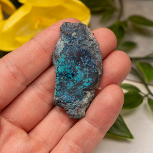 Shattuckite Slab with Tenorite, Azurite, and Chrysocolla Slab #18