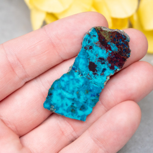 Shattuckite Slab with Tenorite, Azurite, and Chrysocolla Slab #14