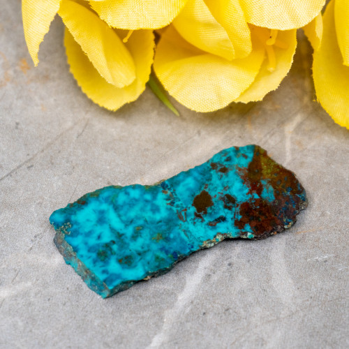 Shattuckite Slab with Tenorite, Azurite, and Chrysocolla Slab #14