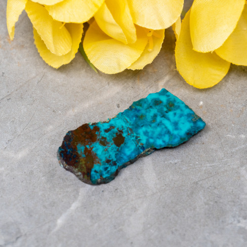 Shattuckite Slab with Tenorite, Azurite, and Chrysocolla Slab #14