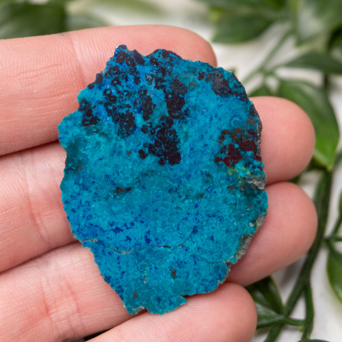 Shattuckite Slab with Tenorite, Azurite, and Chrysocolla Slab #12