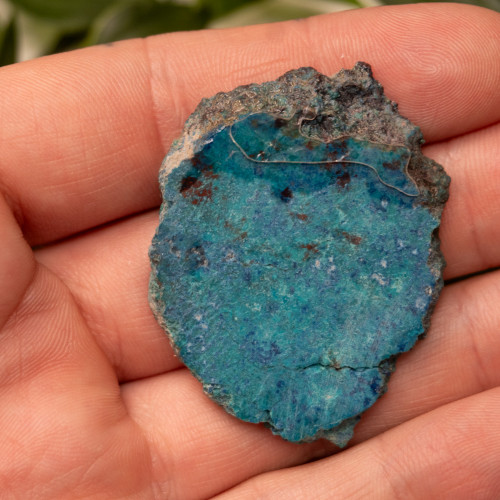 Shattuckite Slab with Tenorite, Azurite, and Chrysocolla Slab #12