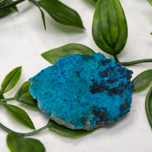 Shattuckite Slab with Tenorite, Azurite, and Chrysocolla Slab #12