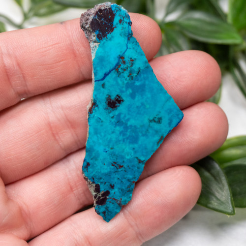 Shattuckite Slab with Tenorite, Azurite, and Chrysocolla Slab #9