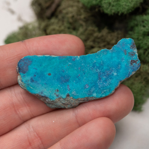 Shattuckite Slab with Tenorite, Azurite, and Chrysocolla Slab #7