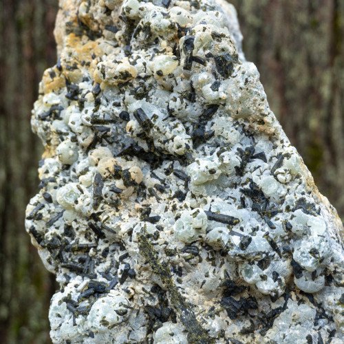 Large Prehnite With Epidote Sticks