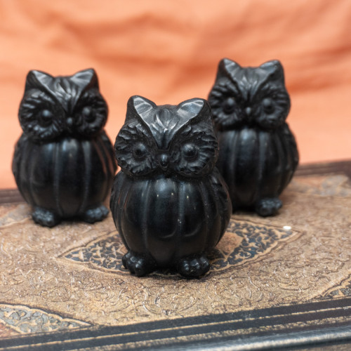 Obsidian Pumpkin Owl