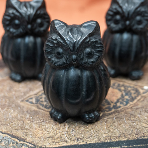 Obsidian Pumpkin Owl
