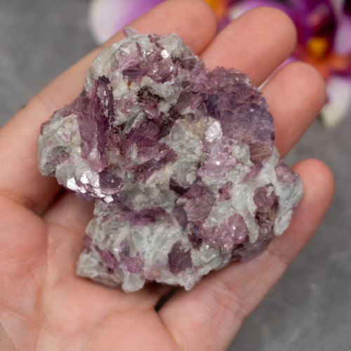 Lepidolite in Aquamarine #4