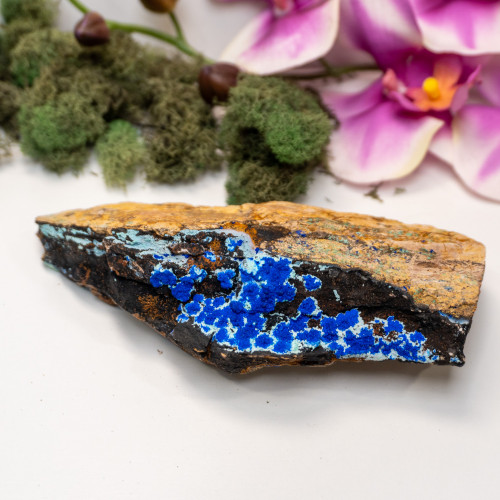 Azurite on Turquoise and Chrysocolla