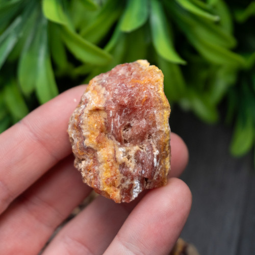Bacon Opal Small Raw