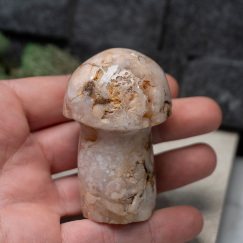 Flower Agate Medium Mushroom