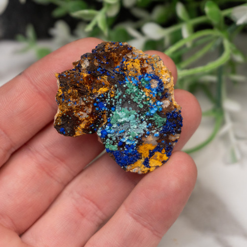 Azurite and Malachite #8