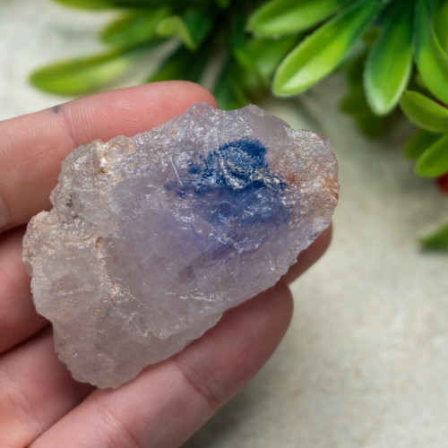 Blue Halite #5