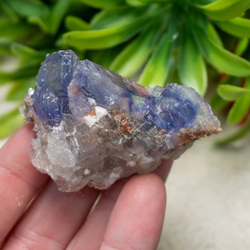 Blue Halite #3