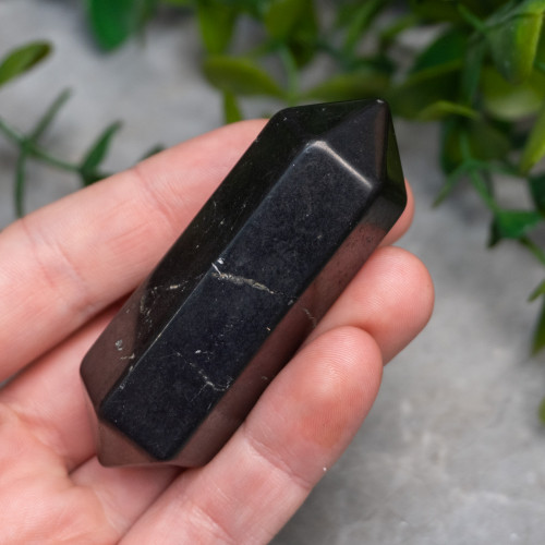 Shungite DT Point
