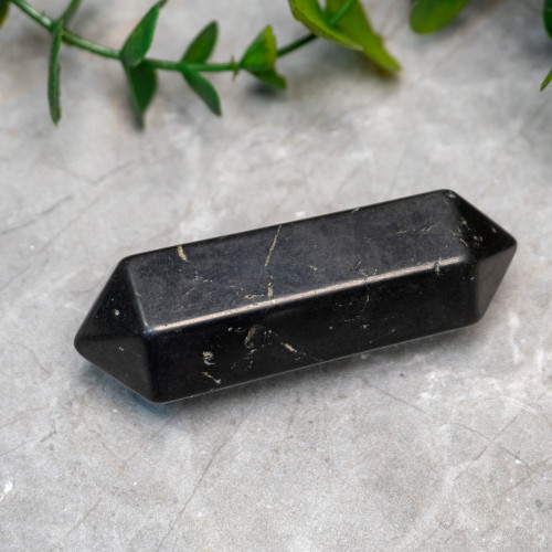 Shungite DT Point
