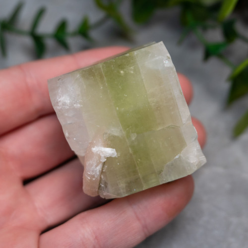 Green Apohyllite #2