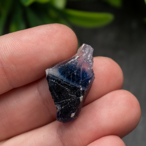 Blue Halite #1