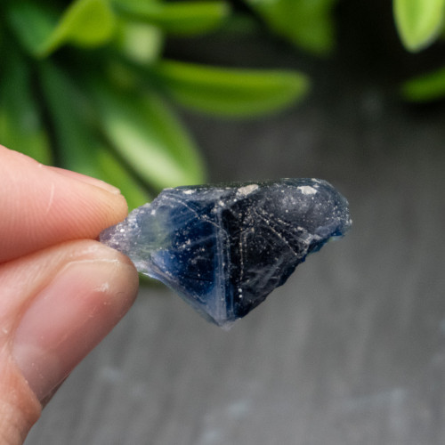 Blue Halite #1