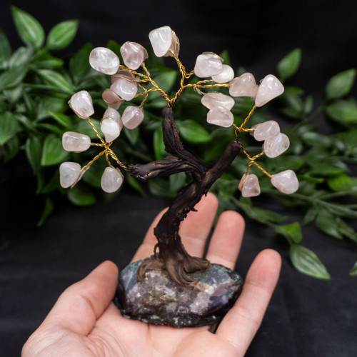 Medium Rose Quartz Crystal Tree