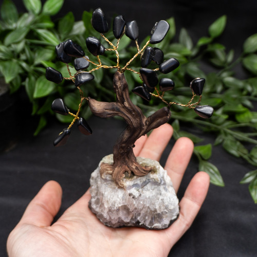 Medium Black Tourmaline Crystal Tree