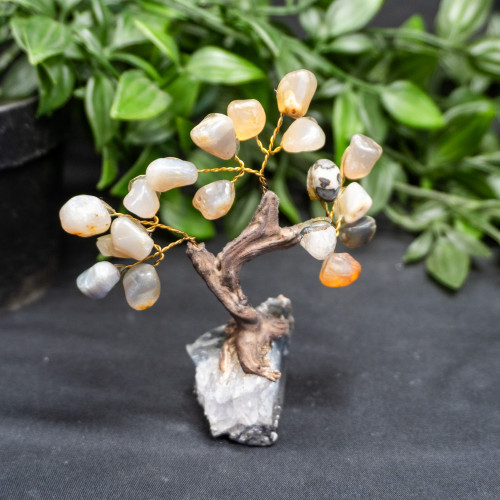 Small Agate Crystal Tree