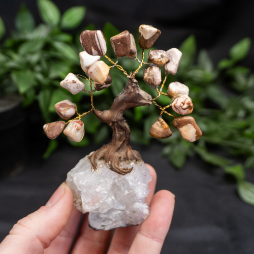 Small Nguni Jasper Crystal Tree