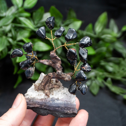 Small Black Tourmaline Crystal Tree