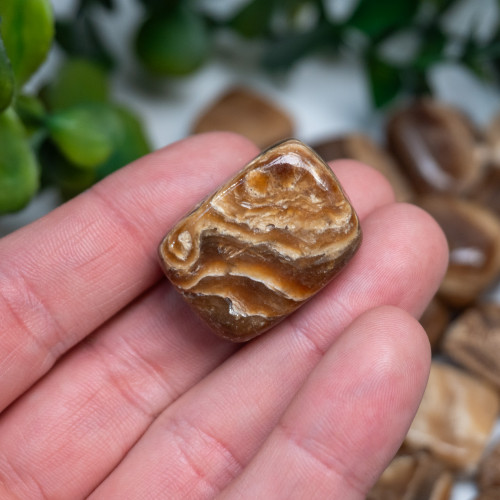 Chocolate Calcite Tumbled