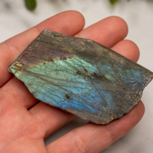 Labradorite Half Polished #16