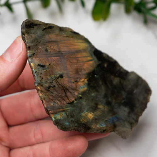 Labradorite Half Polished #13