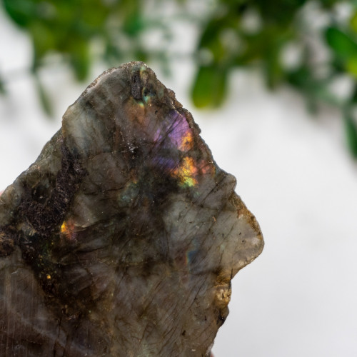 Labradorite Half Polished #13