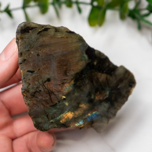 Labradorite Half Polished #13