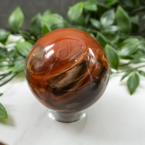 Petrified Wood Sphere Medium