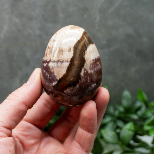 Petrified Wood Medium Egg