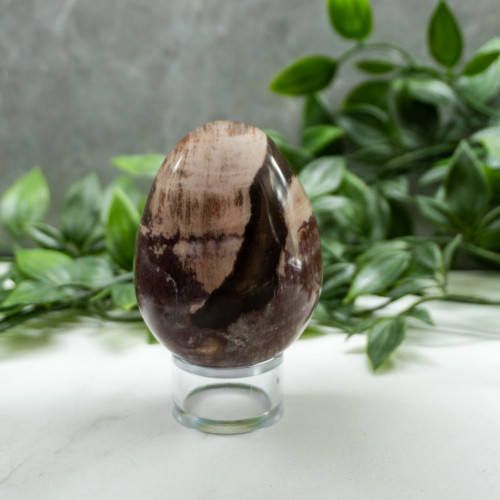 Petrified Wood Medium Egg