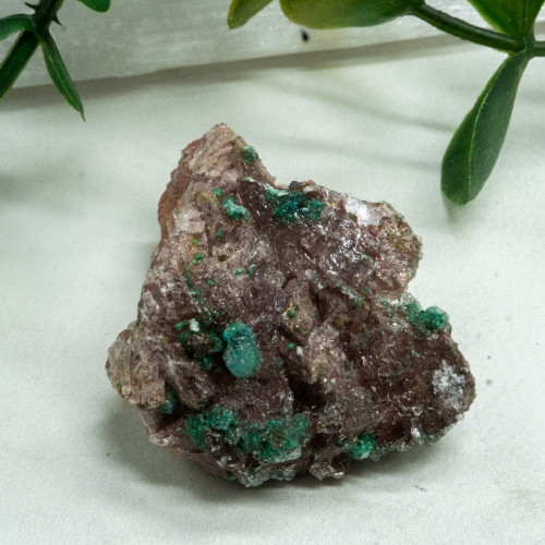 Rosasite #3