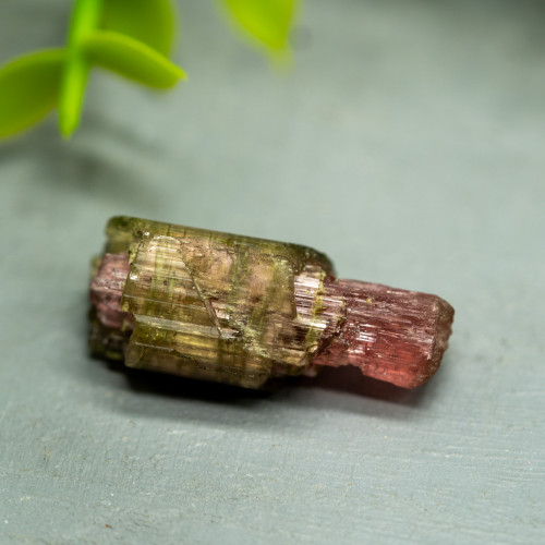 Watermelon Tourmaline "Lipstick" #1