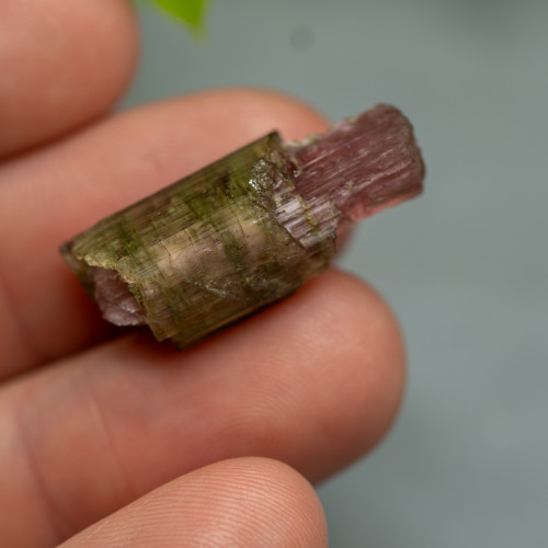 Watermelon Tourmaline "Lipstick" #1