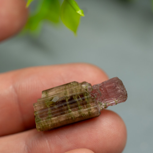 Watermelon Tourmaline "Lipstick" #1